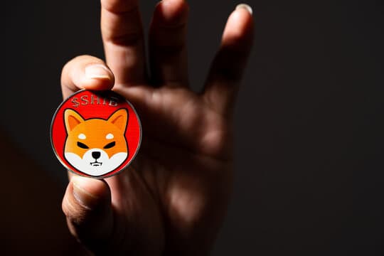 Los Desarrollos Recientes Muestran Por Qué El Precio De Shiba Inu Sigue Cayendo