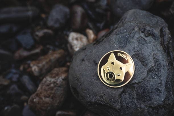 El Regreso del Perro Principal: Las Ballenas de Binance Apuestan a que el Precio de Shiba Inu Explotará
