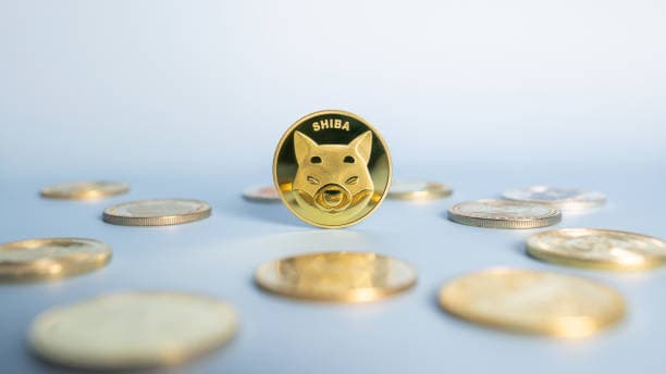 El Desarrollador Principal de Shiba Inu Hizo Algo Que Podría Cambiar el Rumbo de SHIB Para Siempre