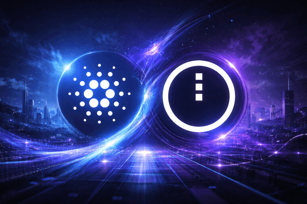Hoskinson Dice Que Los Próximos 180 Días Serán Cruciales Para Midnight De Cardano