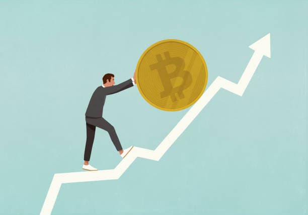 Bitcoin Rechazado en $76,000: Los Osos Aprietan el Control Mientras Crecen los Riesgos de Ruptura