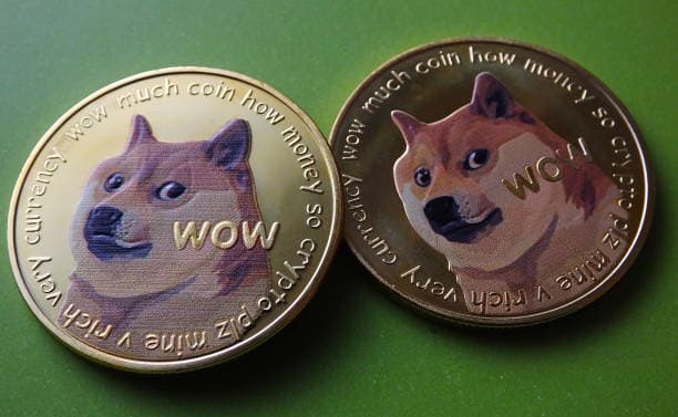 Flujo de Capital de Dogecoin: Lo que Revelan los Datos de Flujo Spot de 24 Horas Sobre su Próximo Movimiento