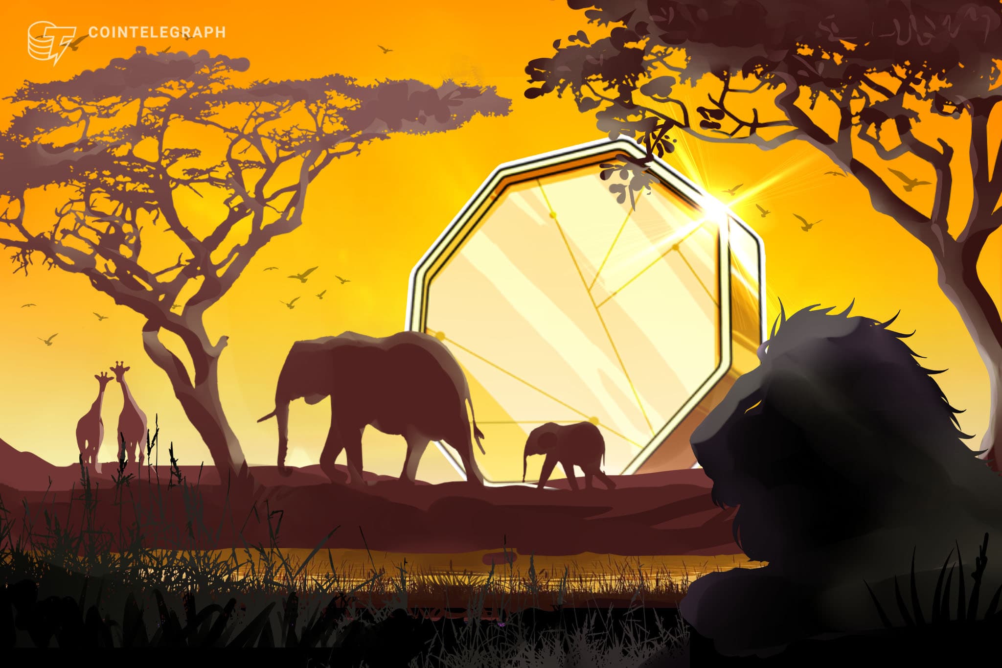 El gobierno de Zimbabue admite siete proyectos de fintech a su sandbox regulatoria
