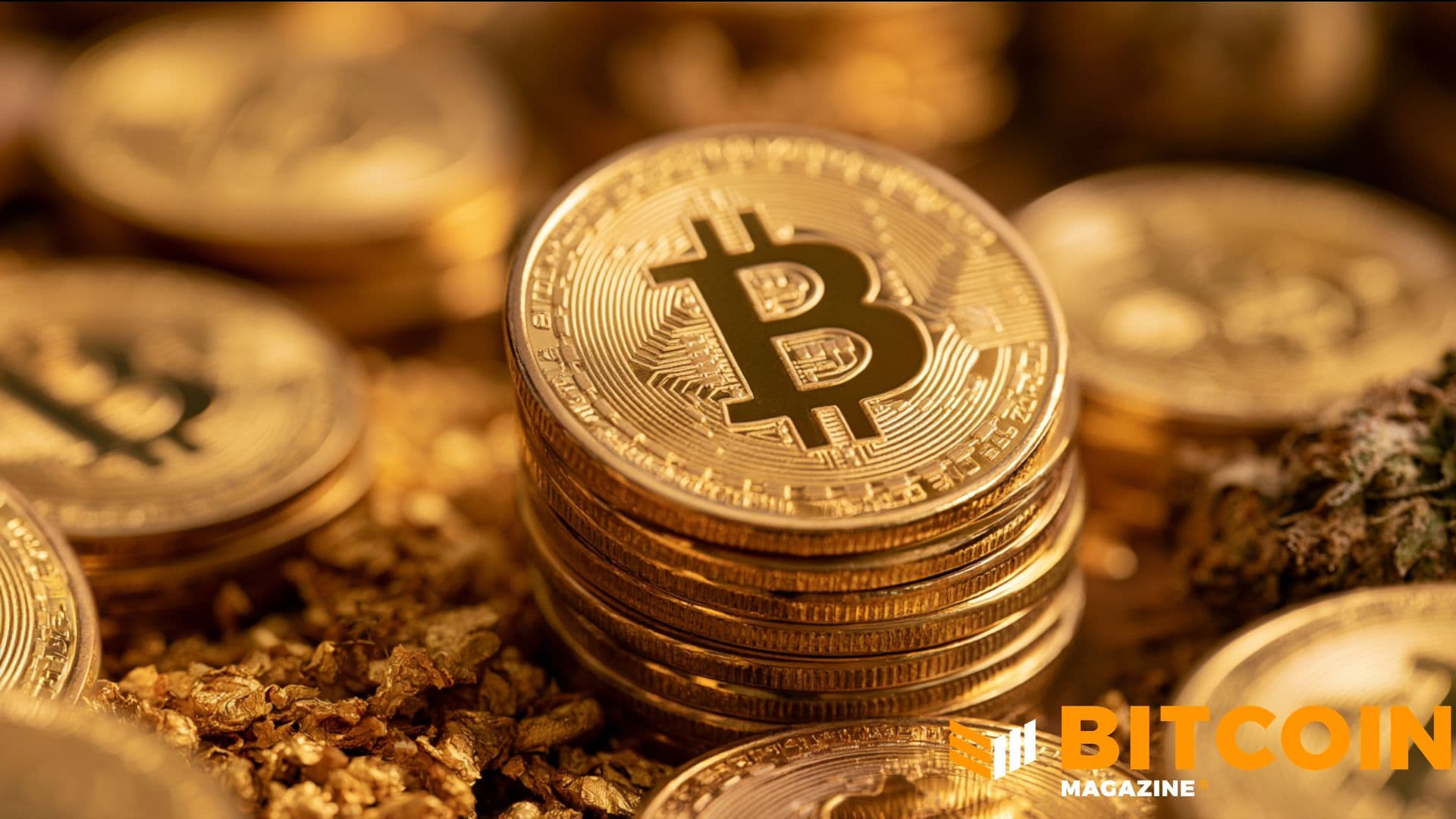 Edelman Financial, Tudor Investment Revelan Posiciones Significativas en Bitcoin