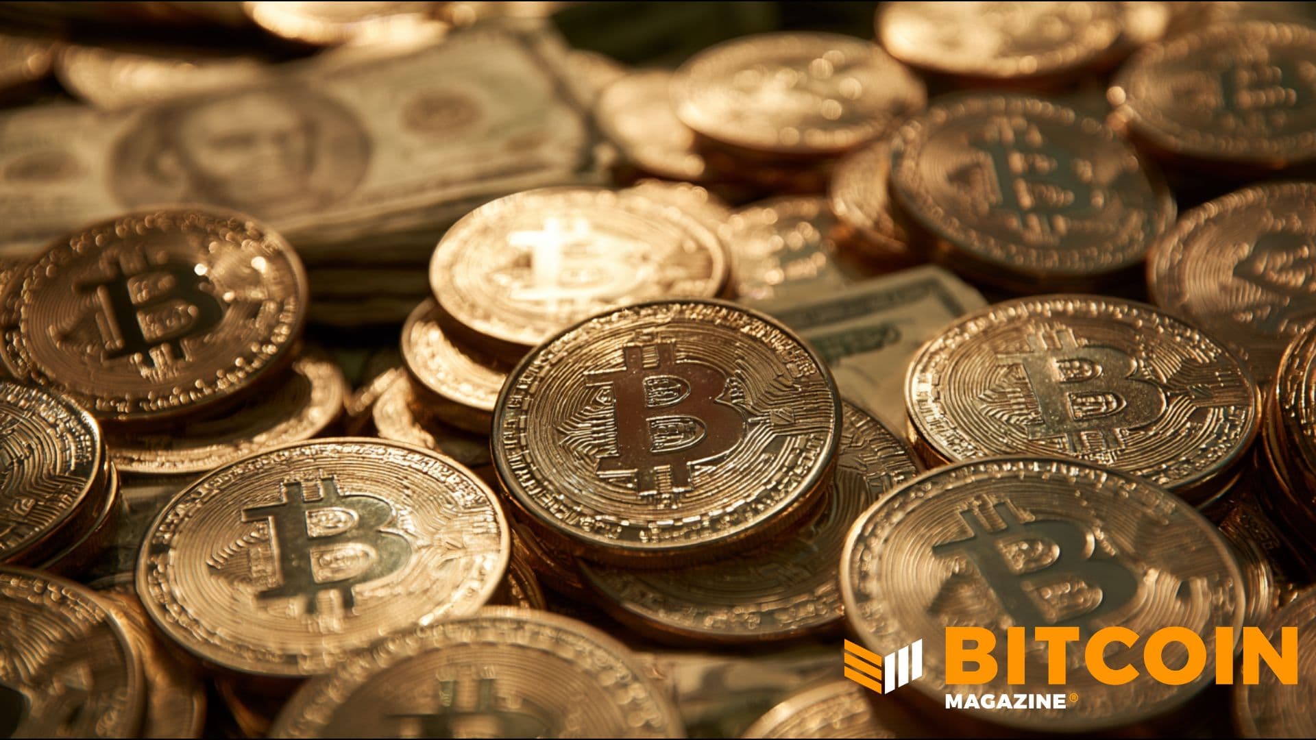 Las instituciones mantuvieron sus Bitcoin durante el crash — y algunas compraron más: Informe