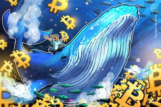 Las tenencias de ballenas de Bitcoin alcanzan un máximo de cinco meses: ¿Se dirige BTC a los $80K?