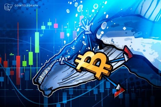 Ballena de Bitcoin «sigue en corto» a BTC a pesar de enfrentar pérdidas por 13 millones de dólares