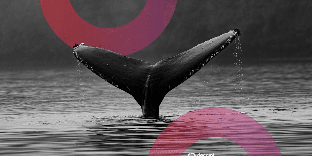 Ballena de la ICO de Ethereum que convirtió $3,100 en $23 millones despierta tras una década