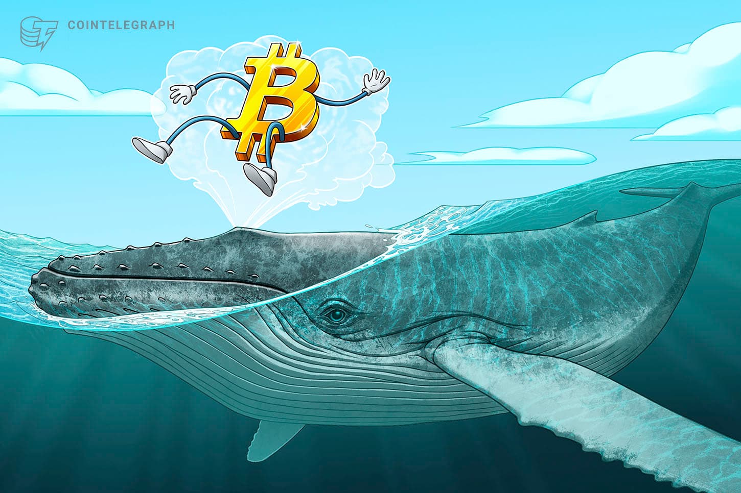 Las ballenas cripto acumulan mientras el mercado de la criptomoneda se acerca a su etapa tardía