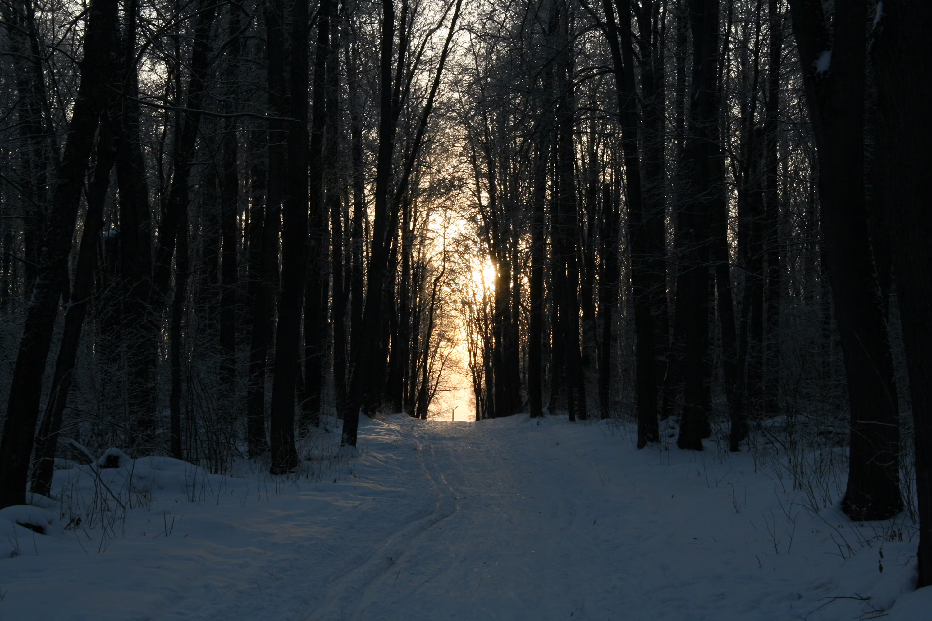 Bitcoin Enfrenta una Encrucijada Familiar Mientras el Ciclo a Mediano Plazo se Vuelve Bajista: Analista