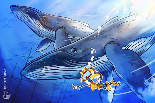 La venta de ballenas de Bitcoin se enfría mientras los $60K se convierten en el foco para el precio de BTC