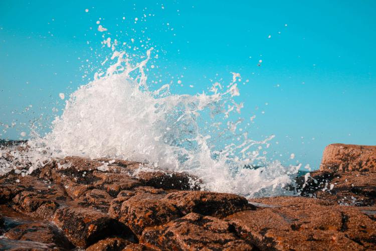 Más del 40% de las Altcoins Están Tocando Fondo — Y los Expertos Dicen que es Peor que el Último Crash