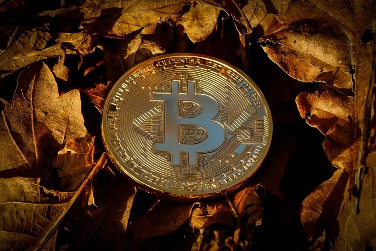 Analista Que Pronosticó el Máximo de Bitcoin Dice Que el Precio Llegará a $200,000, ¿Pero Debes Comprar Ahora?