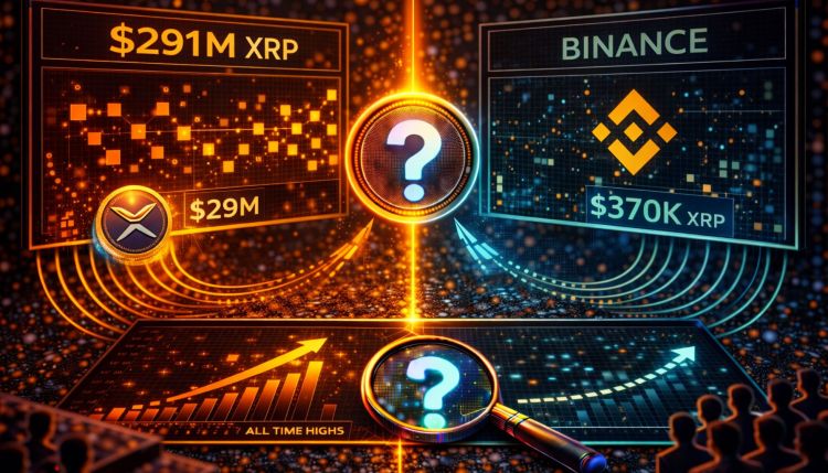 XRP Liquidó $291 Millones On-Chain y Casi Nada Llegó a Binance: Descubre Qué Está Pasando