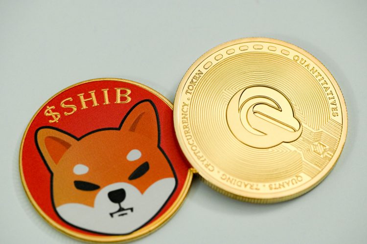 El impulso de 1.549% de Shiba Inu: ¿Pueden los osos tomar el control de nuevo y desencadenar una explosiva alza?