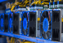 Vertcoin en el 2021, todo acerca del activo y su red criptos