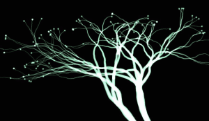 funciones white tree