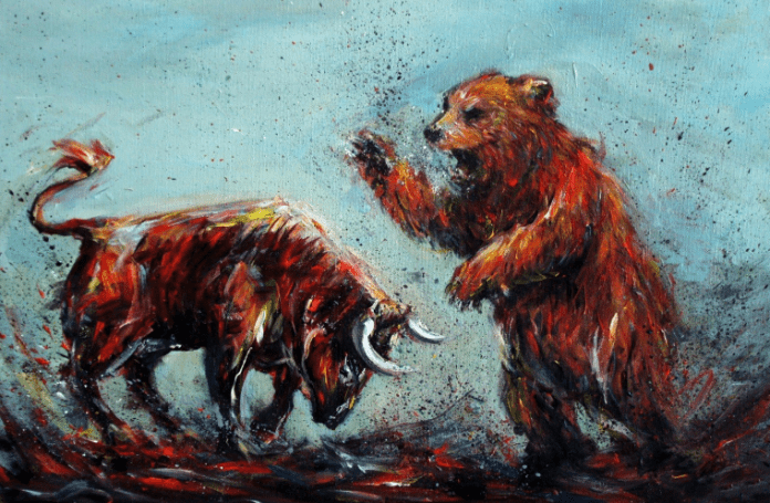 kelly bear and bull
