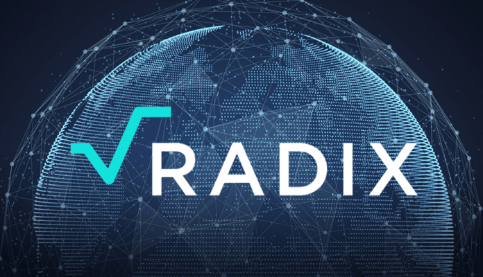 proyecto radix