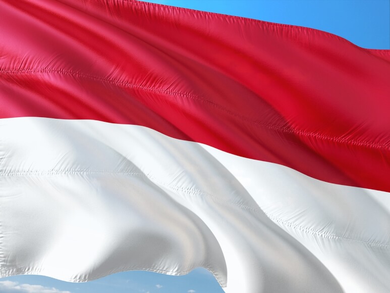 Bandera de Indonesia 