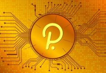 Ya empiezan las subastas Parachains de Polkadot, ¿Qué proyectos serán los ganadores?