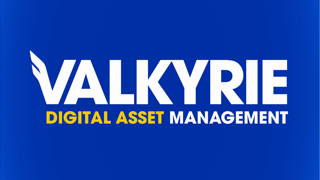 Logo de Valkyrie Investments, Inc.
